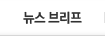 뉴스 브리프